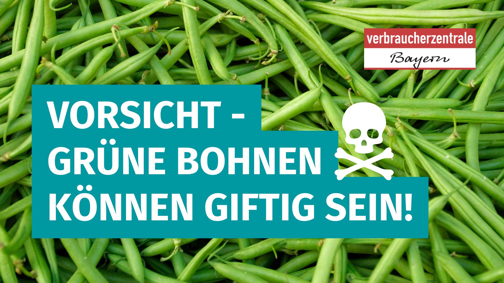 Vorschaubild zum Video: Vorsicht - grüne Bohnen können giftig sein mit einem Totenkopf