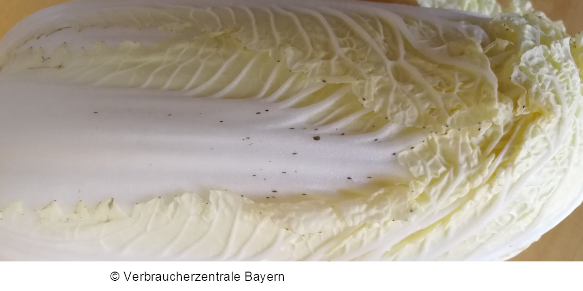 Was bedeuten die schwarzen Punkte an den Blatträndern von Chinakohl ...