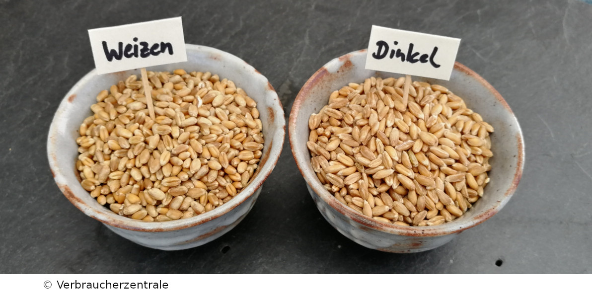 Wie unterscheidet sich Dinkel von Weizen? | Lebensmittel-Forum