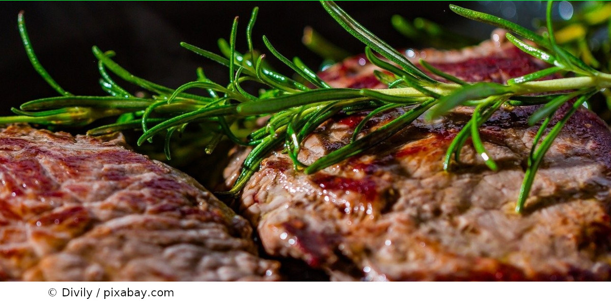 Wie lange ist gefrorenes Grillfleisch haltbar? LebensmittelForum