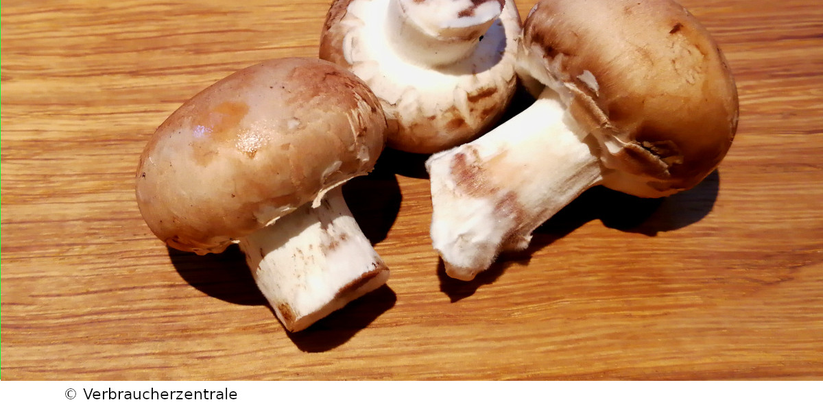 Weißer Belag auf Champignons was ist das? LebensmittelForum Weißer Belag auf Champignons was ist das? LebensmittelForum