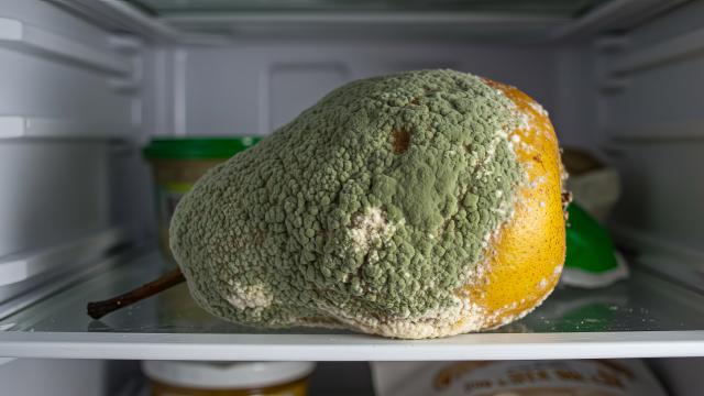 Verschimmelte Birne im Kühlschrank