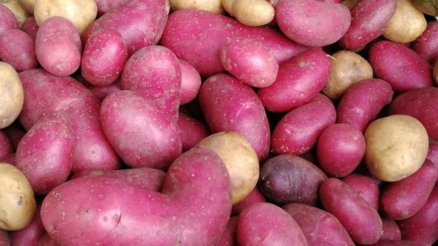 Bunte Kartoffeln