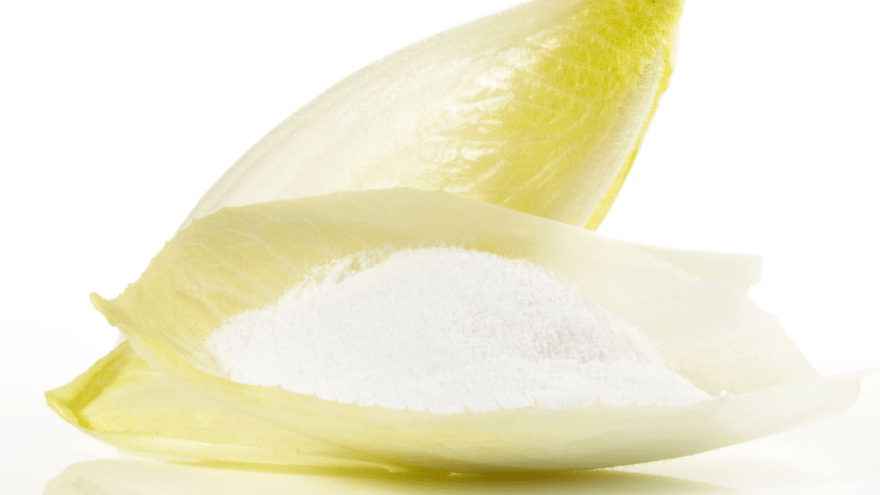 Chicorée mit Inulin als Pulver