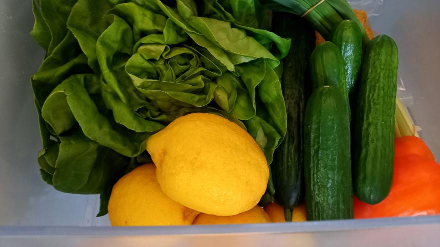 Zitronen liegen mit Salat und Gurken im Gemüsefach