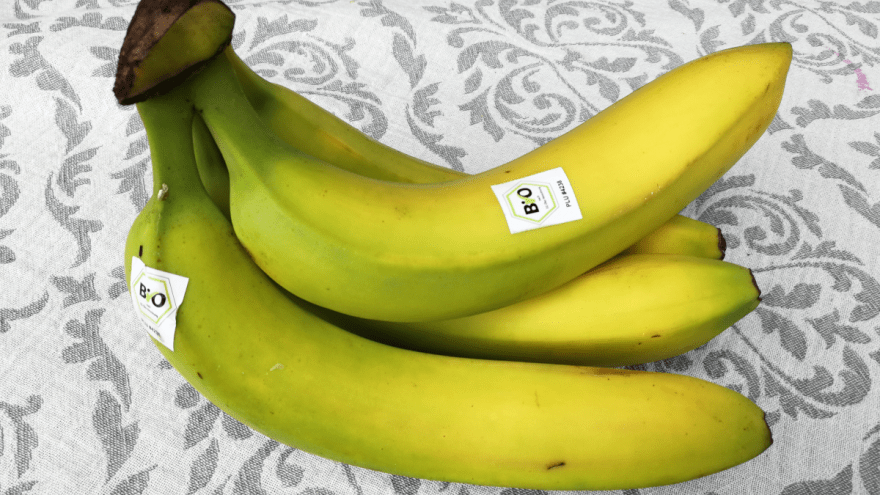 Bananen mit Biosiegel