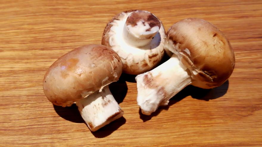 Drei Champignons mit leichtem weißen Belag