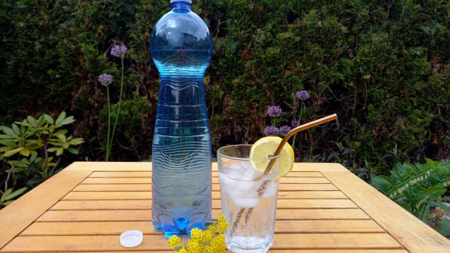 Eine blaue Plastikflasche mit Mineralwasser steht auf einem Holztisch im Garten. Daneben steht ein Glas Wasser mit Zitronenscheibe und Strohhalm.