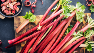 Frische Rhabarberstiele auf einem Tisch