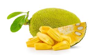 Eine Jackfruit