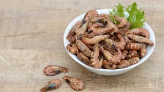 Nordseekrabben in der Schale