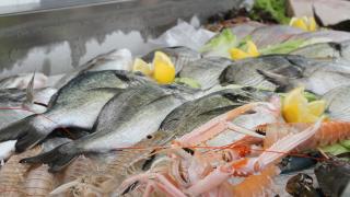 Frischer Fisch in einer Kühltheke