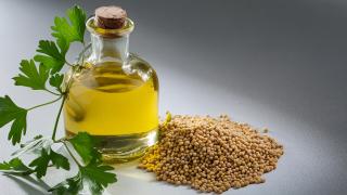 Senfsamen und Senföl in einer Karaffe