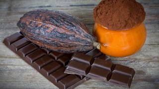 Riegel Schokolade, eine Tafel Schokolade, Kakaobohne und Kakaopulver 