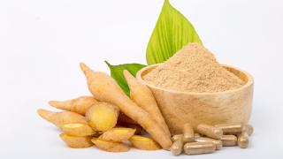 Galgantwurzel aufgeschnitten, dahinter ein Schälchen mit Galgantpulver und davor Kapsel mit Galgantpulver